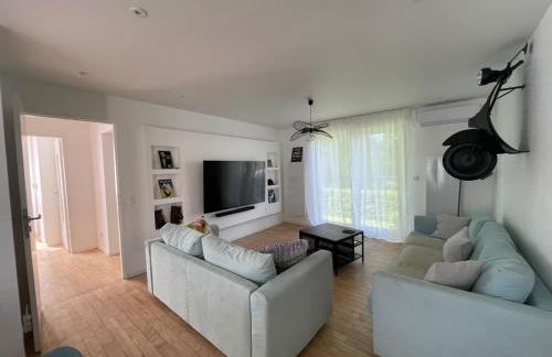 Olivier du ciel ODC - Photo 4