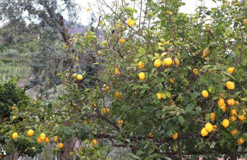 Rosa's House - Casa vacanza vicina al mare - Foto 30