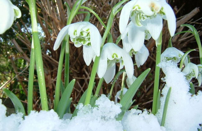 Cottage Sleeps3-fireplace-balcony-garden-mountain - Photo 14