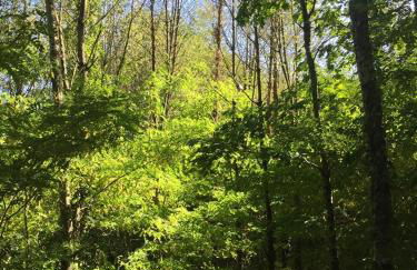 Grand T2 pour Curistes à DUC MANOIR - Photo 18