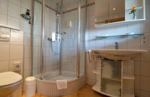 Landhotel und Apartments Sonneck - Photo 55