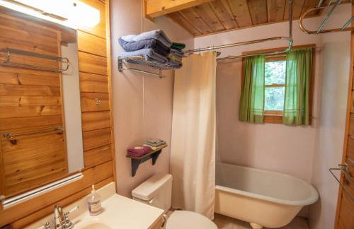 Private Mnt Views-- Pet Friendly, Sleeps 6, Overlooks Phoenix Mnt - Photo 19