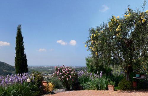Azienda agricola Della Mezzaluna - Foto 45