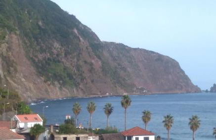 Lazy Lizard by the Ocean - Foto 48