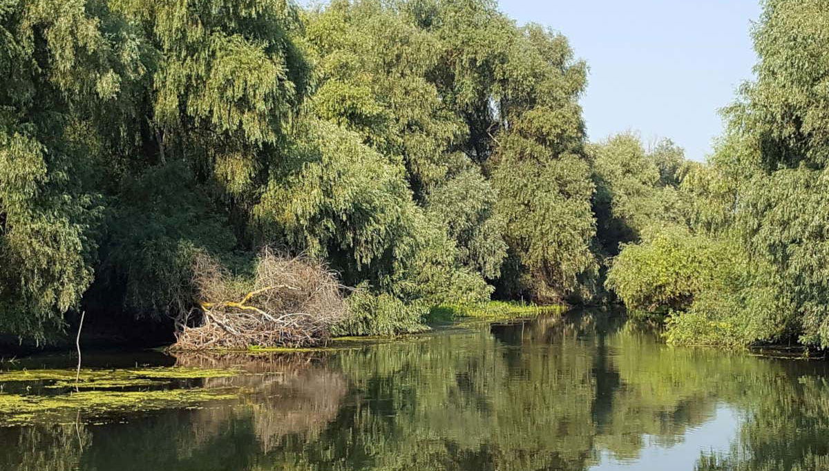 Mar Negro e Delta do Danúbio em 2 dias - Foto 2, Delta do Danúbio