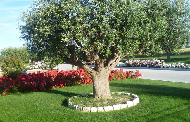 Postiglione Country House - Foto 11