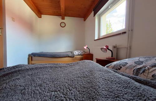 Skała i Las - Foto 11