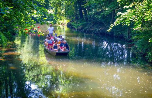 Apartment in Schwielochsee OT Guhlen 36012 - Foto 19