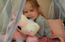 Liwa Garden Krzywa 11 - Foto 44