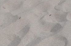 La finestra blu - Foto 14