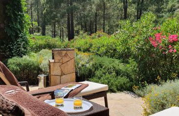 Domaine Codaleone - Foto 36