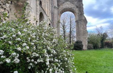 Cosy Cottage Overlooking Malmesbury Abbey - Foto 21