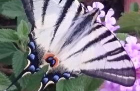 Agriturismo La Mirandola - Foto 11