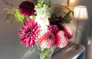 Cosy Rural Retreat, Sleeps 3 & Petfriendly - Foto 23