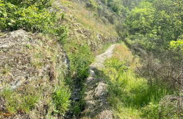 Haus Dorfidyll - Foto 37