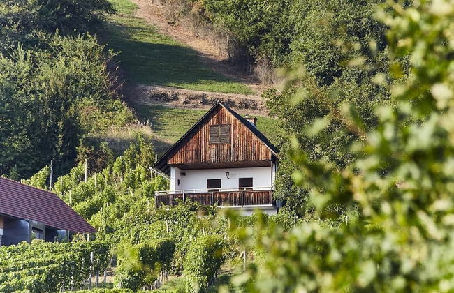 Weinberg Lodge - Kellerstöckl - Foto 8