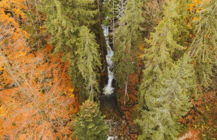 AleBale Przesieka luksusowy dom z bali z widokiem na Karkonosze - Foto 39