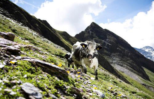 Christlrumerhof - Photo 38