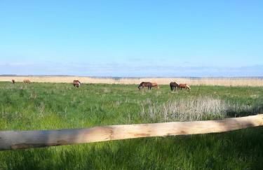 Cozy apartment in the Vinetastadt Barth - Photo 16