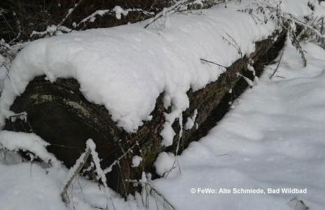 Alte Schmiede - Foto 12