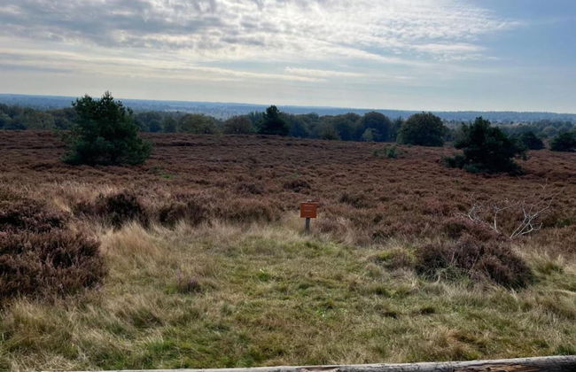 Holiday Home in Haarle Near Sallandse Heuvelrug - Foto 29