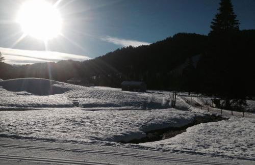 Ferienhof Wäldle - Wäldle 1 und Wäldle 2 mit Motorradvermietung - Photo 19