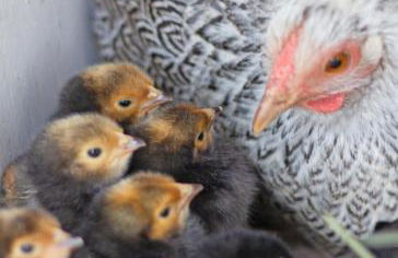 Schöne Wohnung 90qm mit Sonnenterrasse und Aussicht - Foto 21