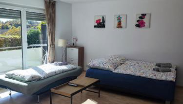 Gemütliche 2,5- Zimmer- Wohnung am Wasserturm in Rottweil - Foto 2