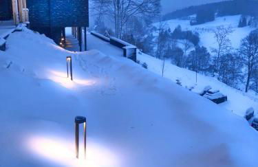 Black Forest Lodge - Photo 100