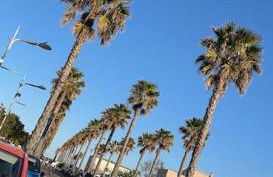 Petite maison à 100m de la plage - Foto 23