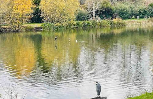 Masion belle vue - Foto 15