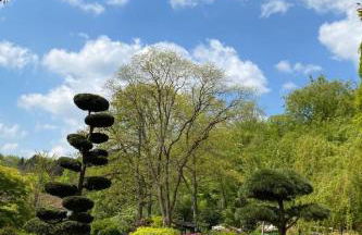 Holiday Home Schöndorf by Interhome - Foto 58