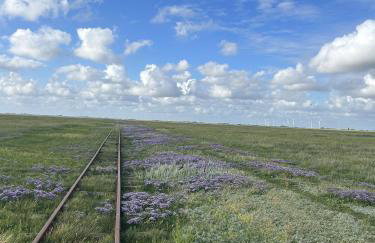 Gästehaus Bi de Ley - Foto 7