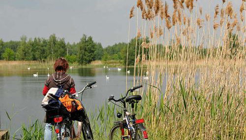 Komfortables Ferienhaus - Photo 4