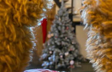 L'instant présent - Foto 28