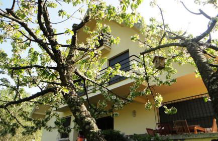 Puente Canto de Gredos - Photo 64