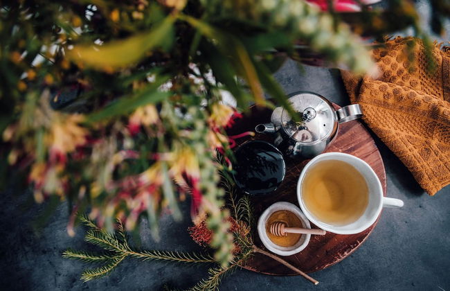 Ecopia Retreat - Foto 15