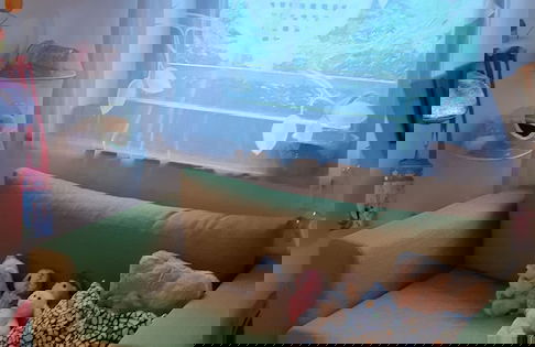 Green Retreat Kuca uz Rijeku za Savrseni Odmor - Foto 12