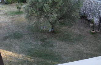 Athina's House - Foto 60