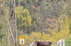 CAL TRANQUIL Camprodon, acollidor àtic al centre - Photo 40