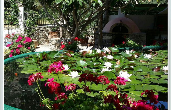 Amazing Cottage Close From the sea - Crete - Foto 11