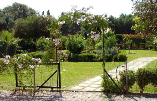 Dallas Hotel - Foto 42