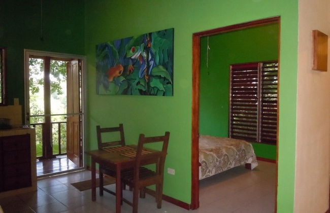 Villas de Oros - Foto 14