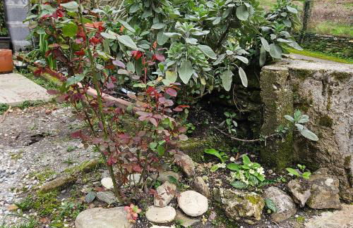 Gli Orti di Mulina le Apuane con parcheggio privato e WiFi - Foto 40