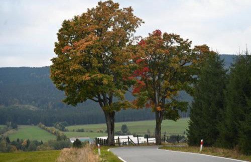 Strażnica Pod Lasem - Foto 60