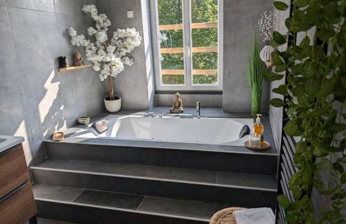 Le SPA - Villa Valmy - Hypercentre - Gare SNCF - Foto 2