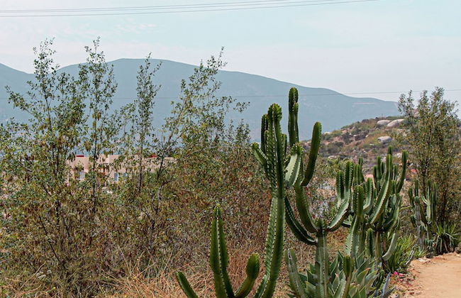 Posada San Antonio - Foto 16