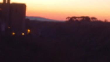 Il giglio bianco - Foto 3