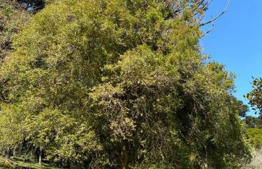 Refugio do Capivari - Foto 16