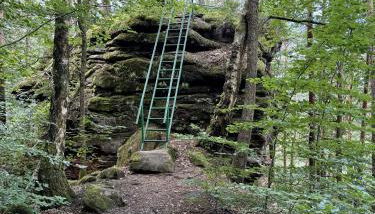 SeeHausLuwiRoyal - Foto 5